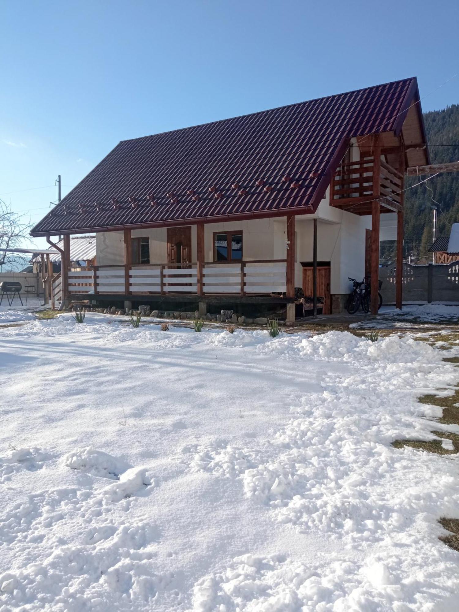 На Березові Krivorovnya Rom bilde